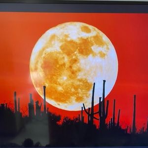 Meet your Posher, Marisol